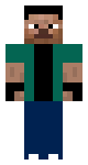 STEVE 1