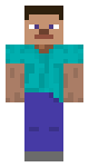 Steve 100%