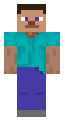 Steve 100%