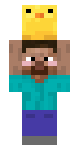 steve and chicken  ( g )