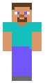 steve barebones