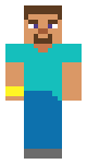 Steve but BareBones