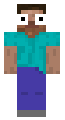 Steve from temu