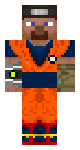 Steve from the Multiverse