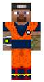 Steve from the Multiverse 2.0