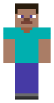 Steve GUYS