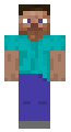 steve(idk what to do)