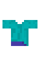 steve shirt