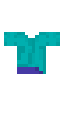 steve shirt