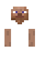 Steve skin