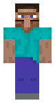 Steve Villager Costume