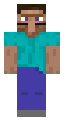 Steve Villager Costume
