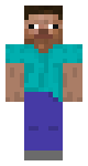 Stupid steve troll meme