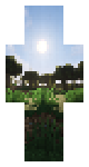 swamp biome