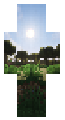 swamp biome