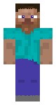 The Real Realistic Steve