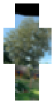 The yard 2