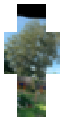 The yard 2
