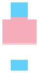 trans flag skin