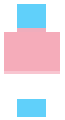trans flag skin