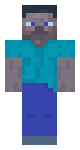 Transparency Steve