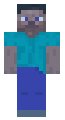 Transparency Steve