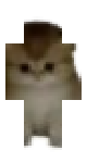 tsuri