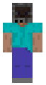 TV Steve