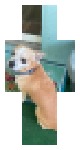Very cute Rico