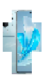 vivo v29
