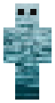water skin