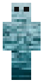 water skin