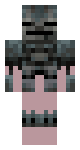 wither armor with skin