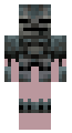 wither armor with skin