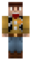 Woody from Toy Story