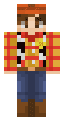 Woody Toy (Toy Story)