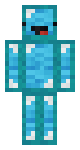Wool Skeppy
