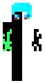 woxelonZX