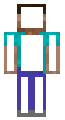 X-rayed Steve