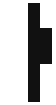 yin-yang skin