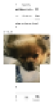 YouTube-Post “funny bruh” 4/5