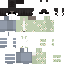 // skin