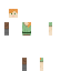 2-Dimensional Alex skin