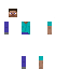 2-Dimensional Steve skin