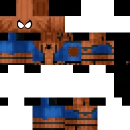 2D5D skin