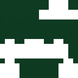 5D200 skin