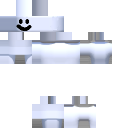 5D22212 skin