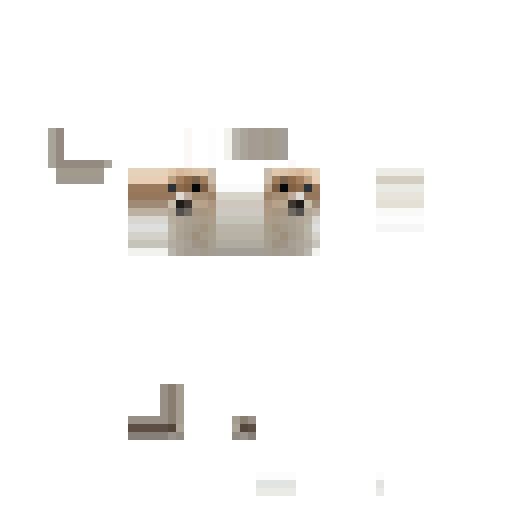 보리 skin