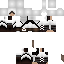 _Assassin_ skin