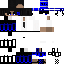 A.E.G.I.S. skin